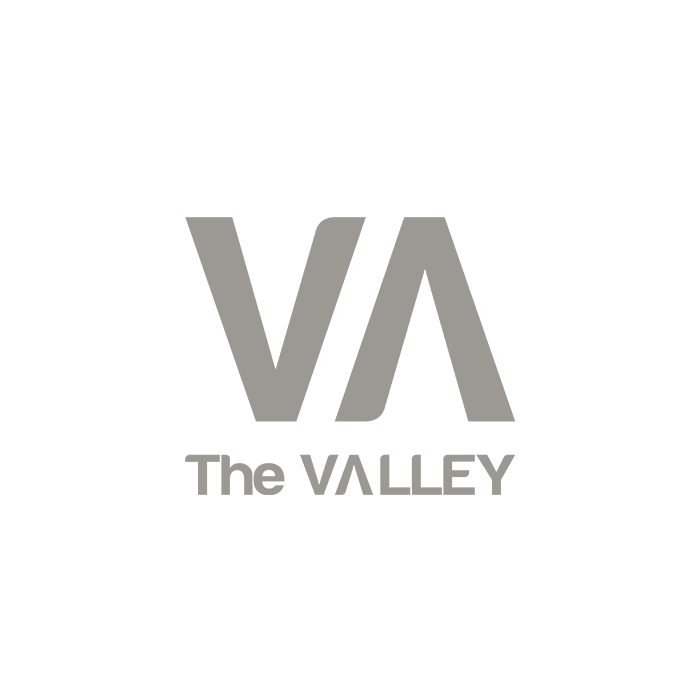 the_valley